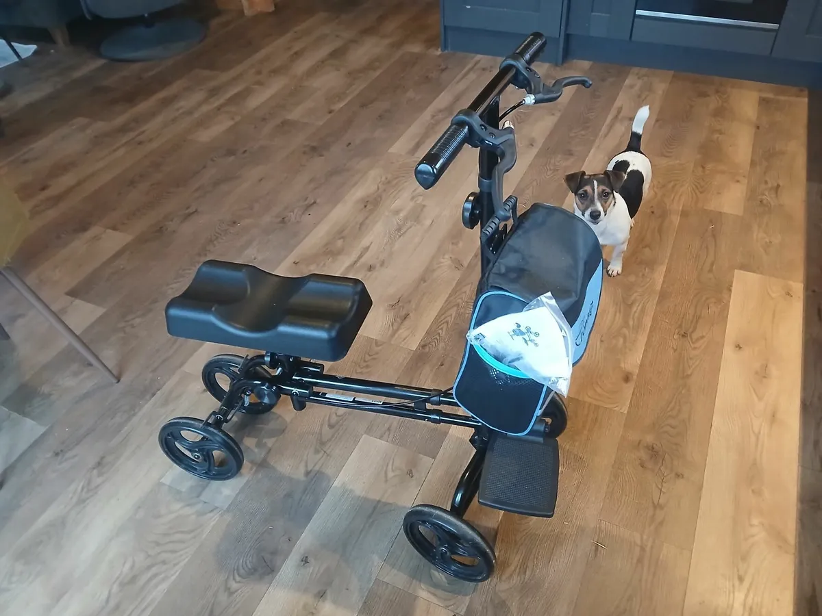 Knee Scooter - Image 1