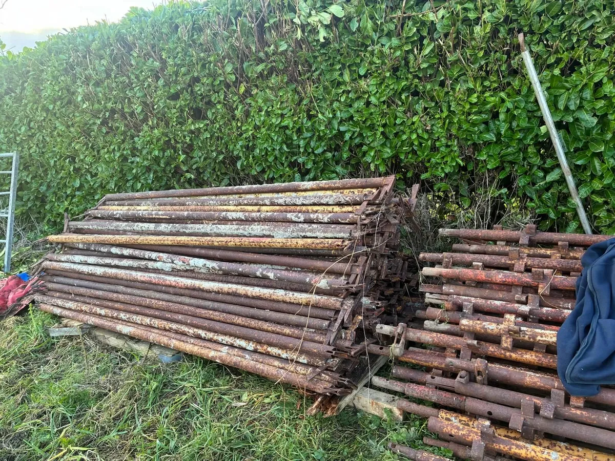 Scaffolding - Image 1