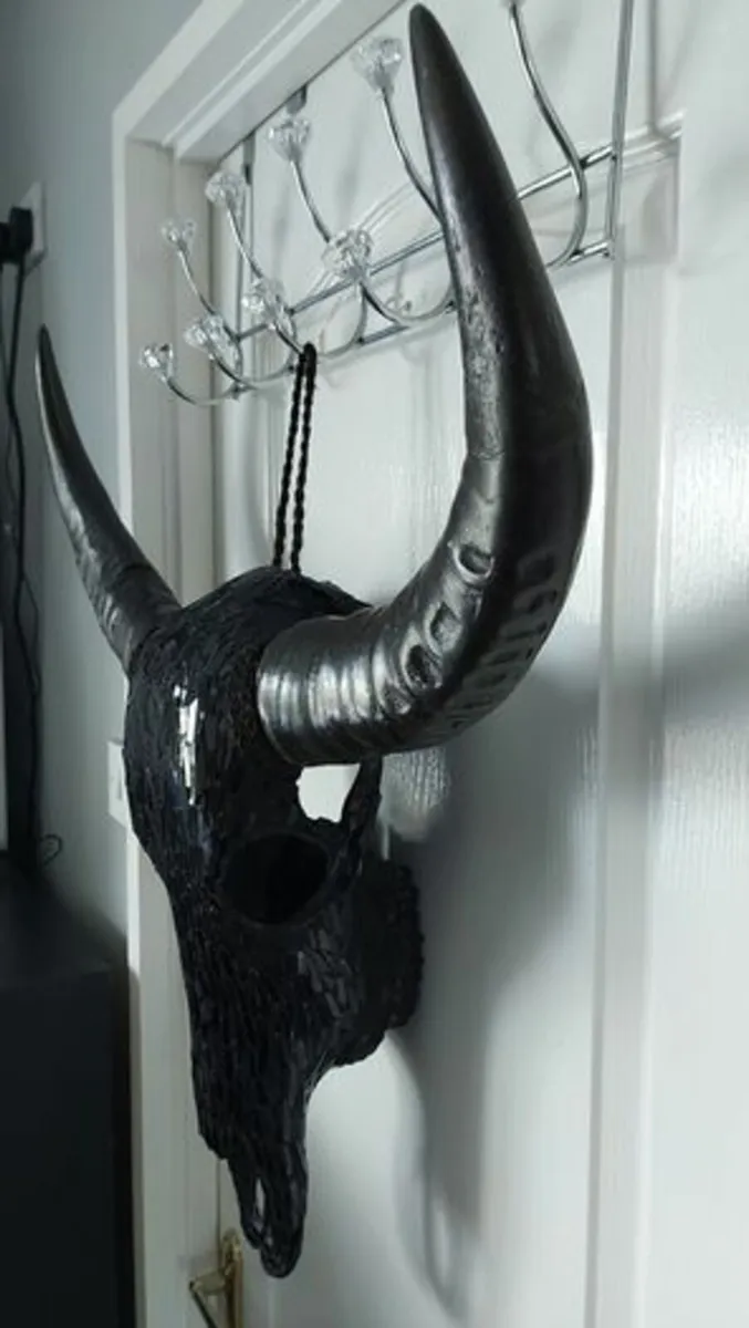 Glass Insert Black Buffalo Skull - Image 1