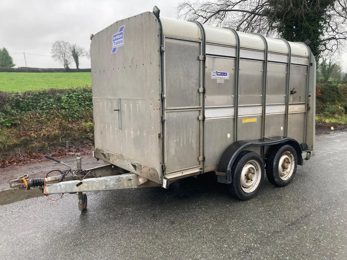 2010 Ifor Williams 10ft Sheep Decks Trailer - Image 3