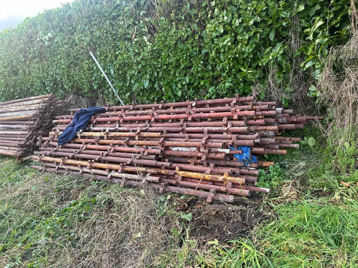 Scaffolding - Image 3
