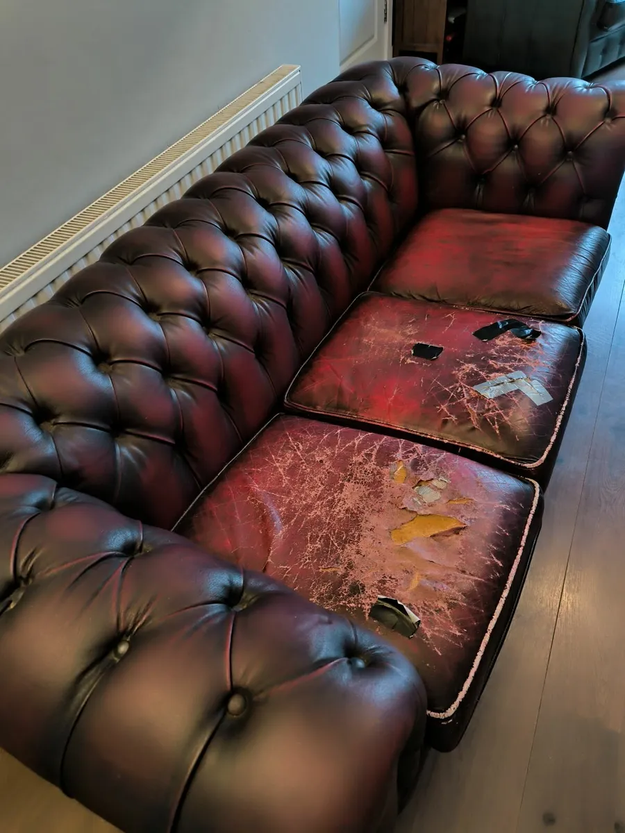 Vintage Leather Chesterfield Sofa - Image 1