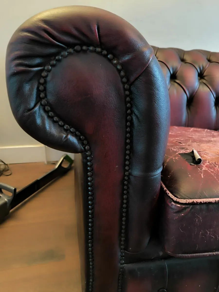 Vintage Leather Chesterfield Sofa - Image 3