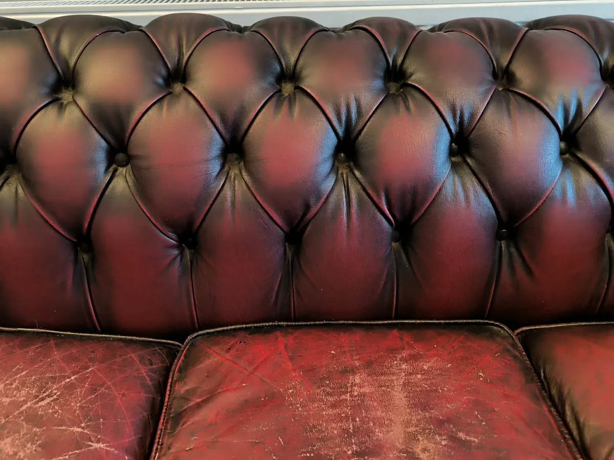 Vintage Leather Chesterfield Sofa - Image 4