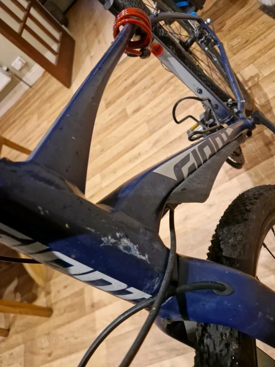 Giant Tough Road SLR2 - Image 2