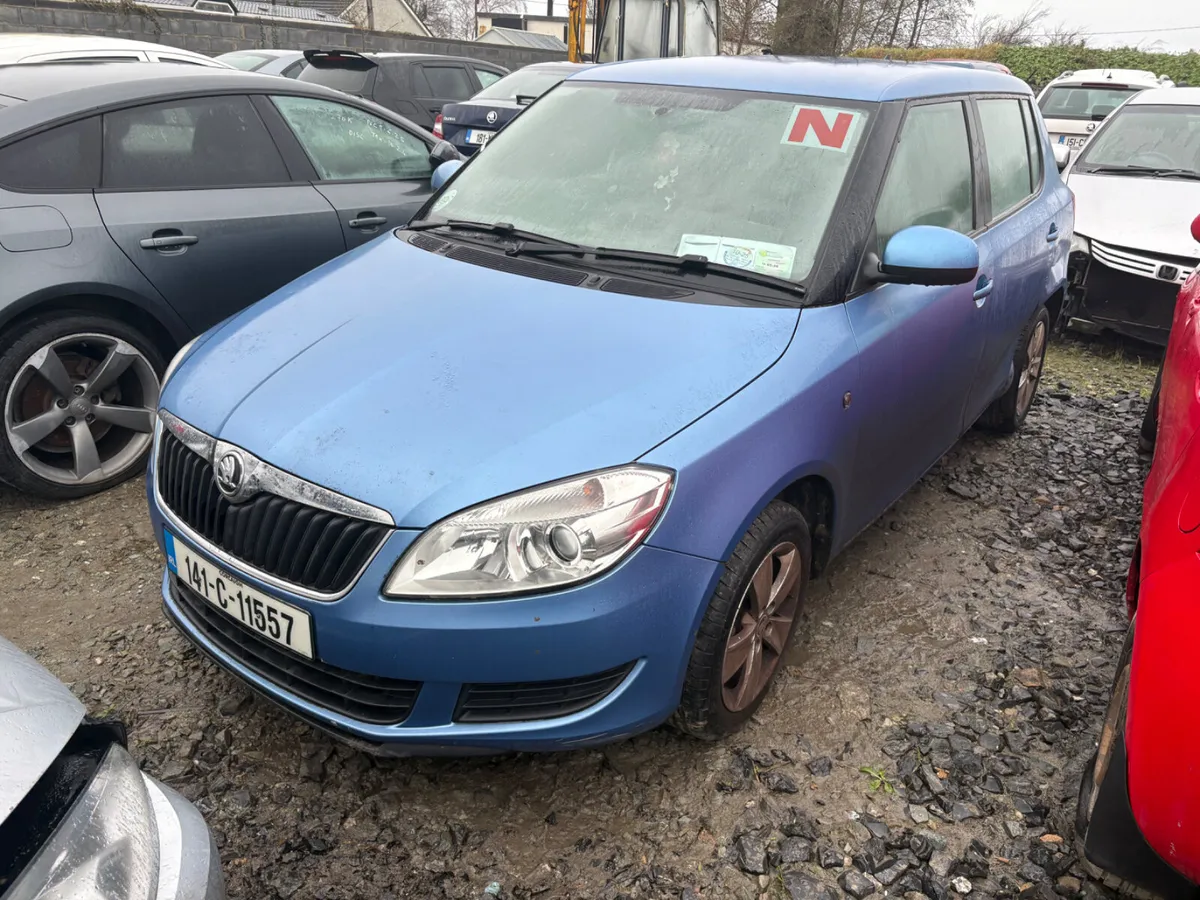 2014 Skoda Fabia 1.2 Petrol - Image 1