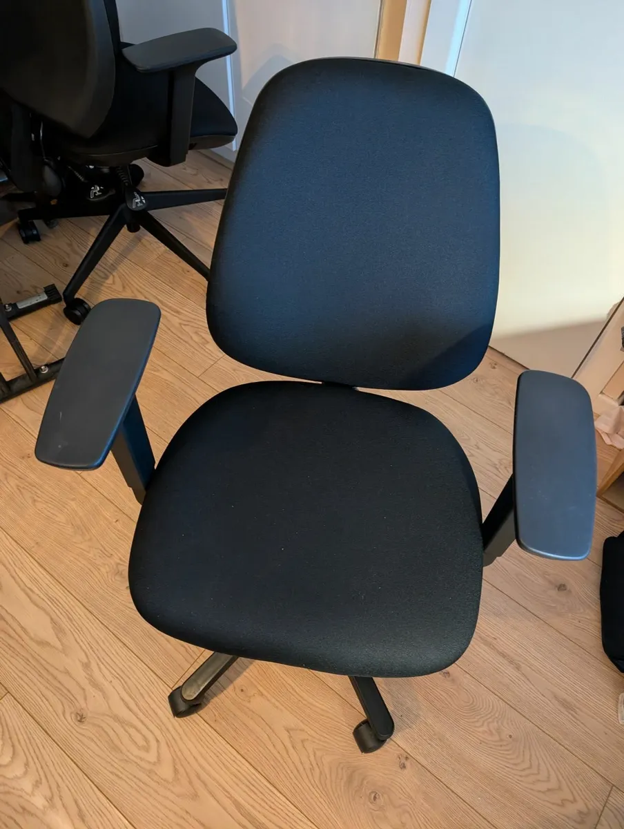 Ergonomic Desk Chair - Image 1