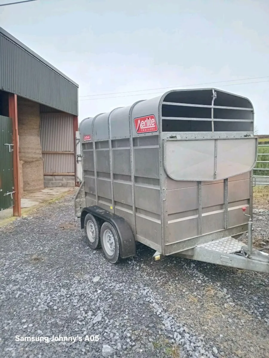 Murphy airline - Image 1