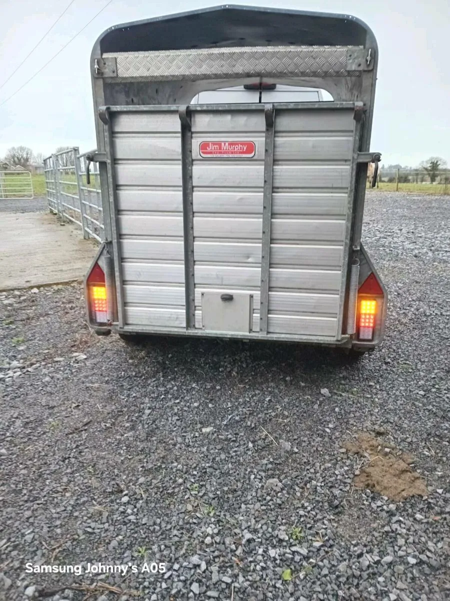 Murphy airline - Image 2