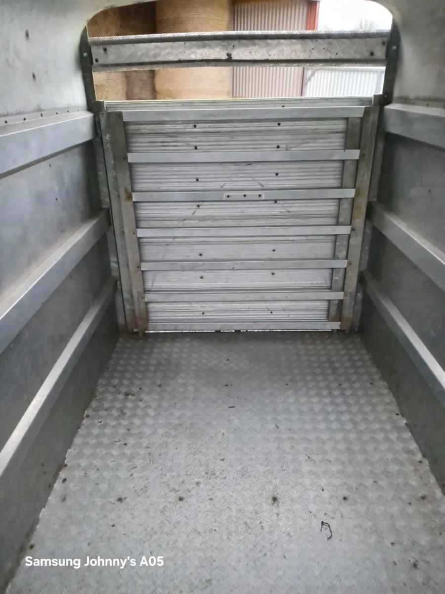 Murphy airline - Image 3