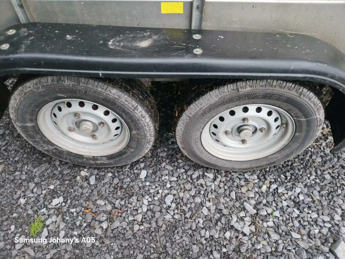 Murphy airline - Image 4