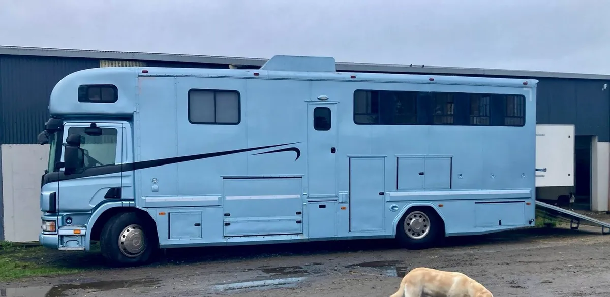 5 horse truck ,  sleeps 6 - Image 2