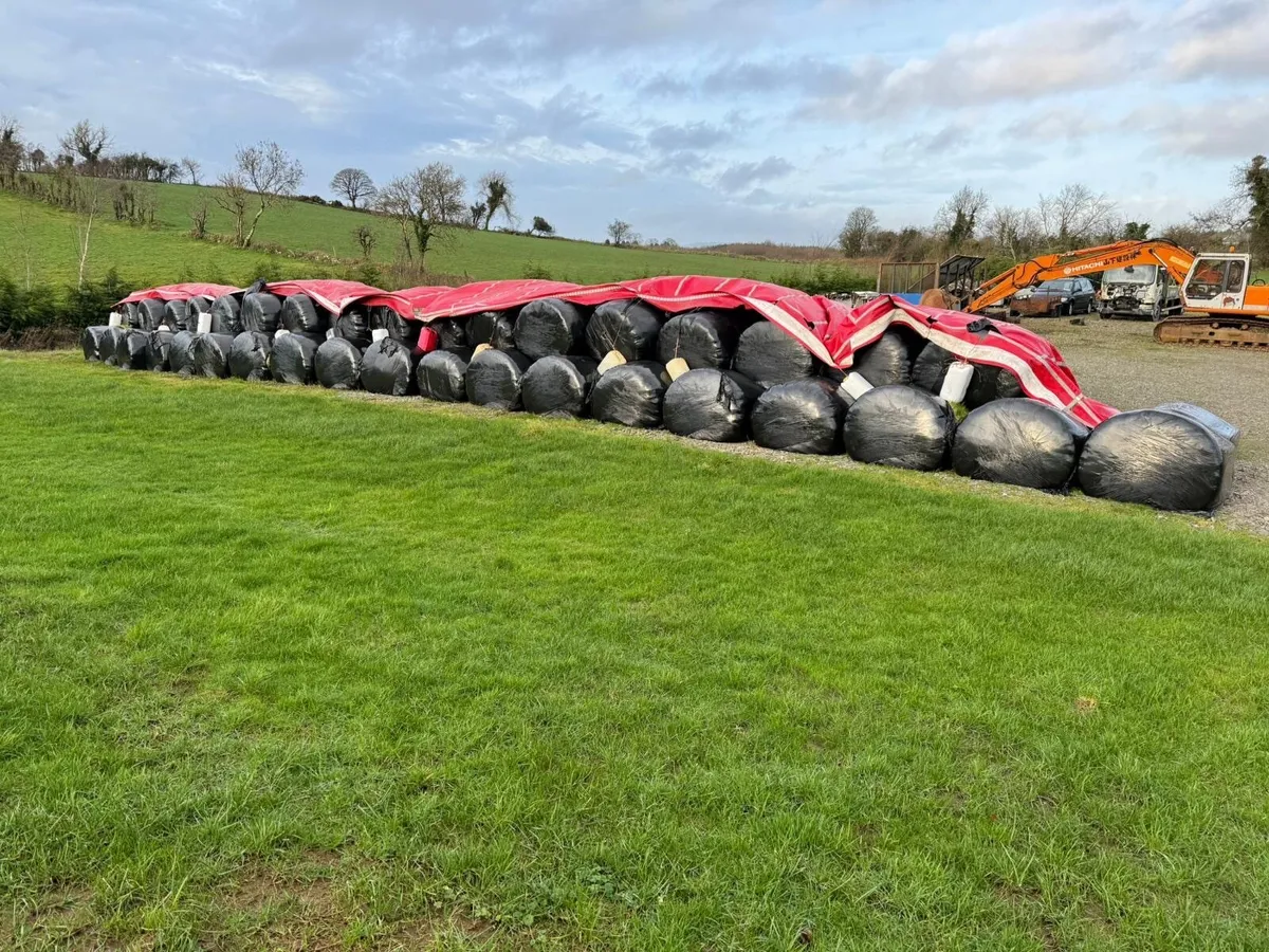 Silage Bales - Image 2