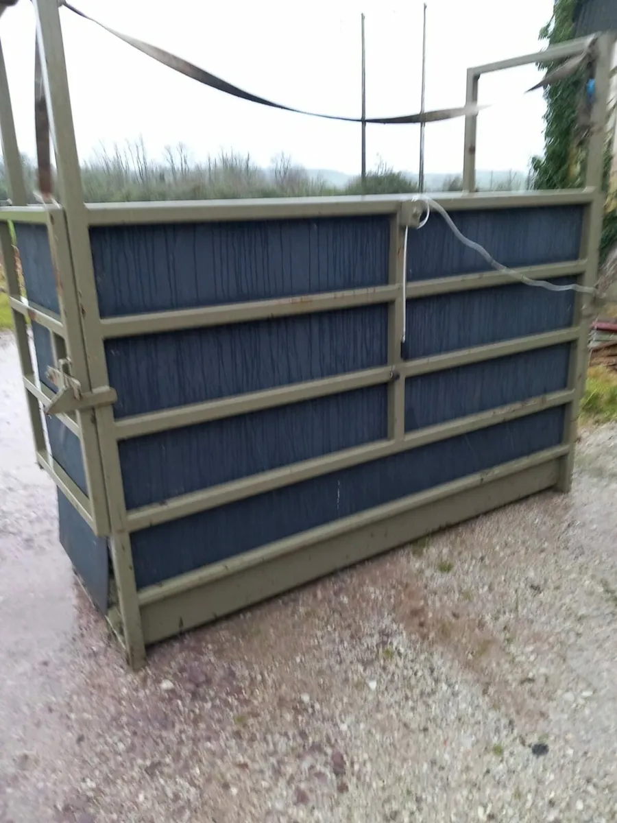 Weighing scales and crate - Image 2