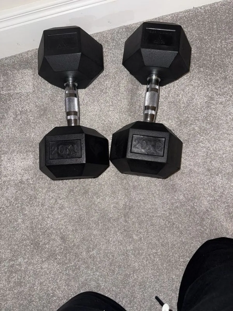 20 kg Hex Dumbbells