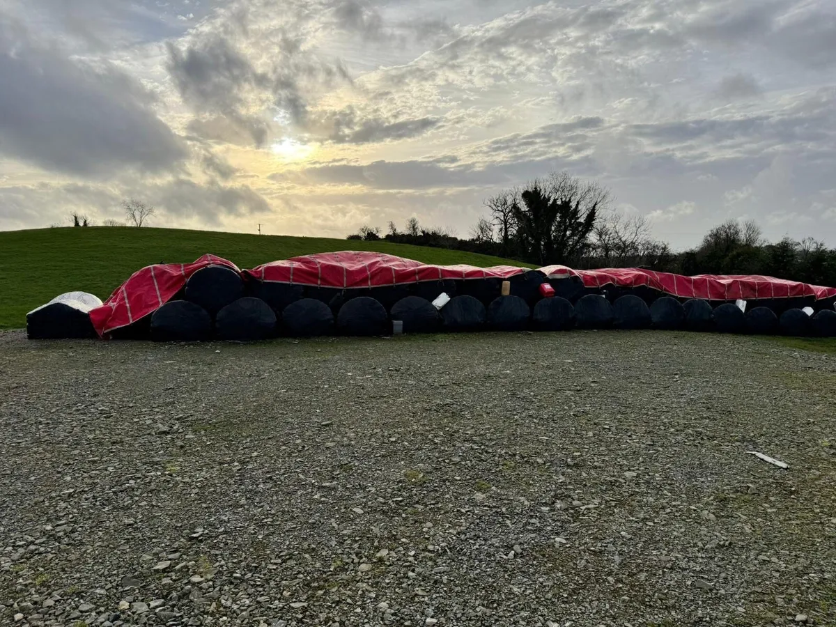 Silage Bales - Image 3