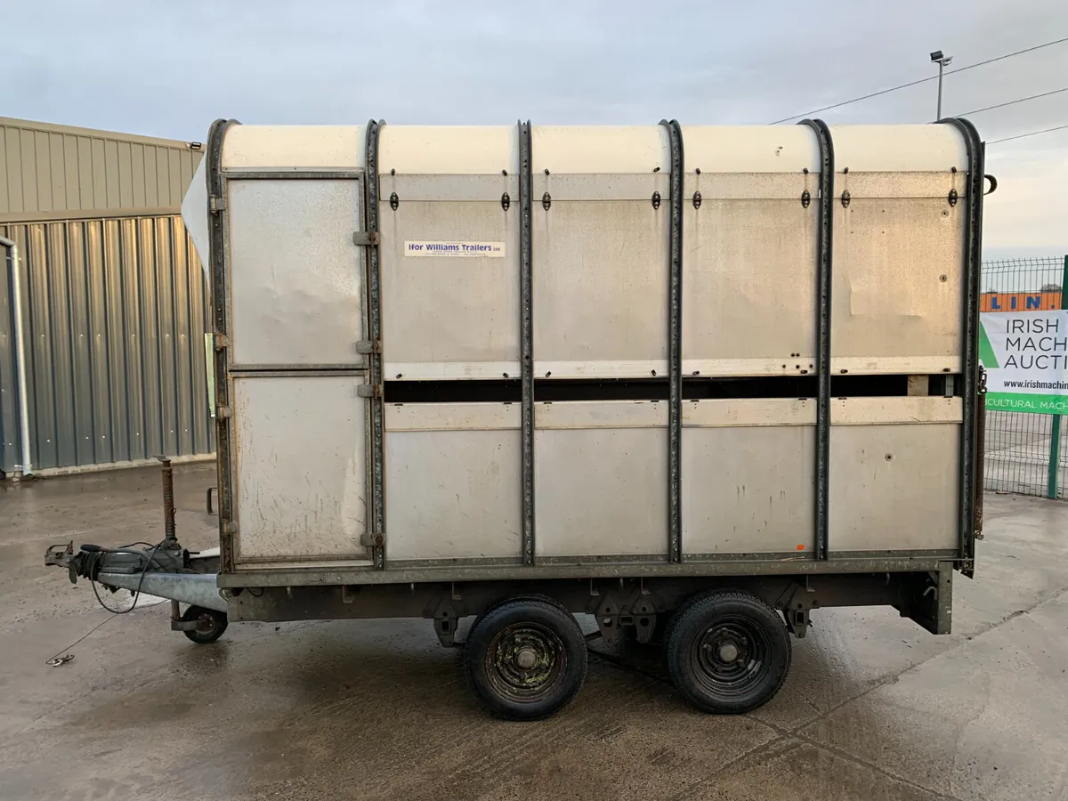 IFOR WILLIAMS TWIN AXLE CATTLE TRAILER FOR AUCTION - Image 2