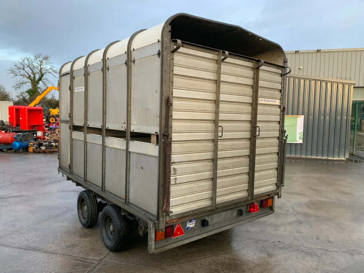 IFOR WILLIAMS TWIN AXLE CATTLE TRAILER FOR AUCTION - Image 3