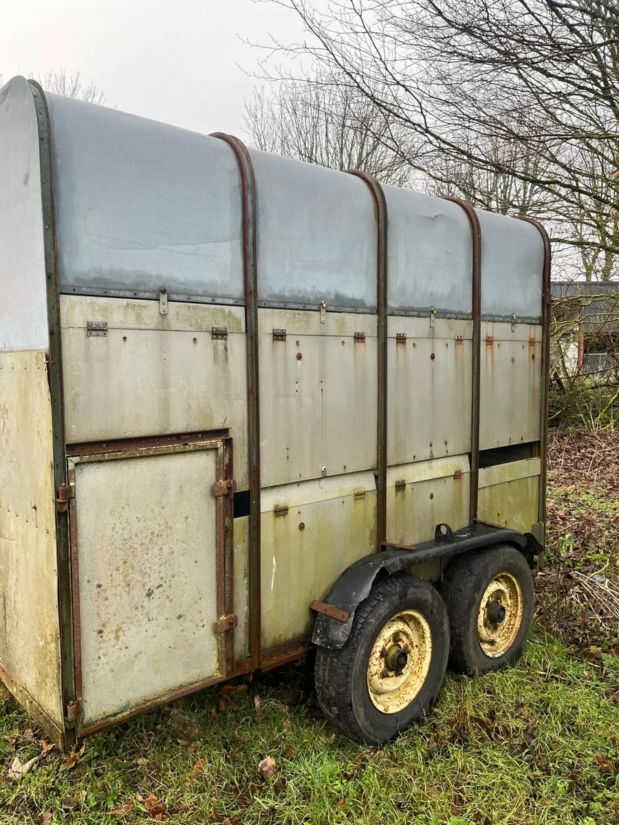 Cattle/horse trailer - Image 1