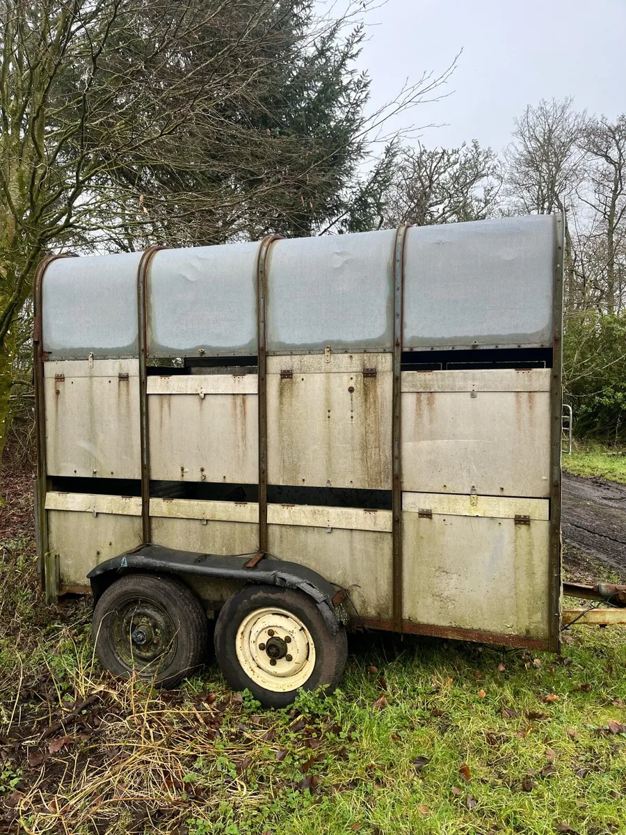Cattle/horse trailer - Image 2