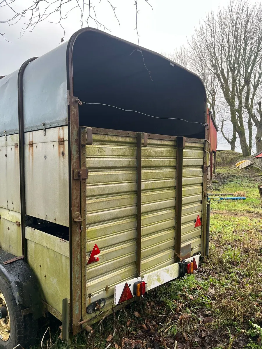 Cattle/horse trailer - Image 4