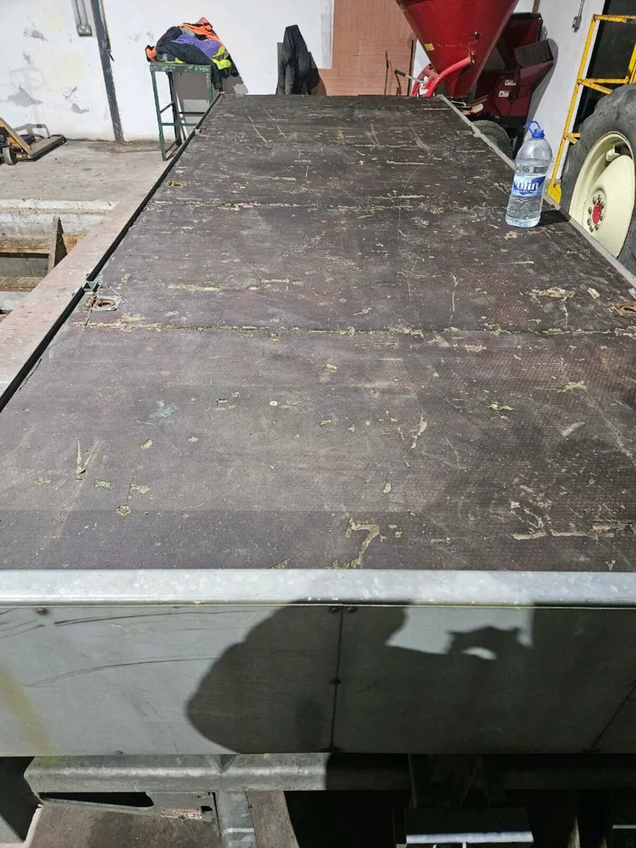 Ifor willams 3 axle trailer 16ft - Image 2