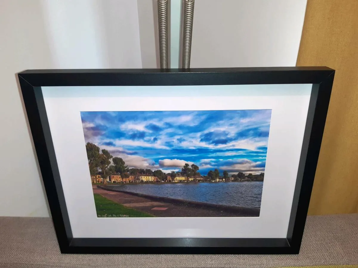 The Lough, Cork - Image 3