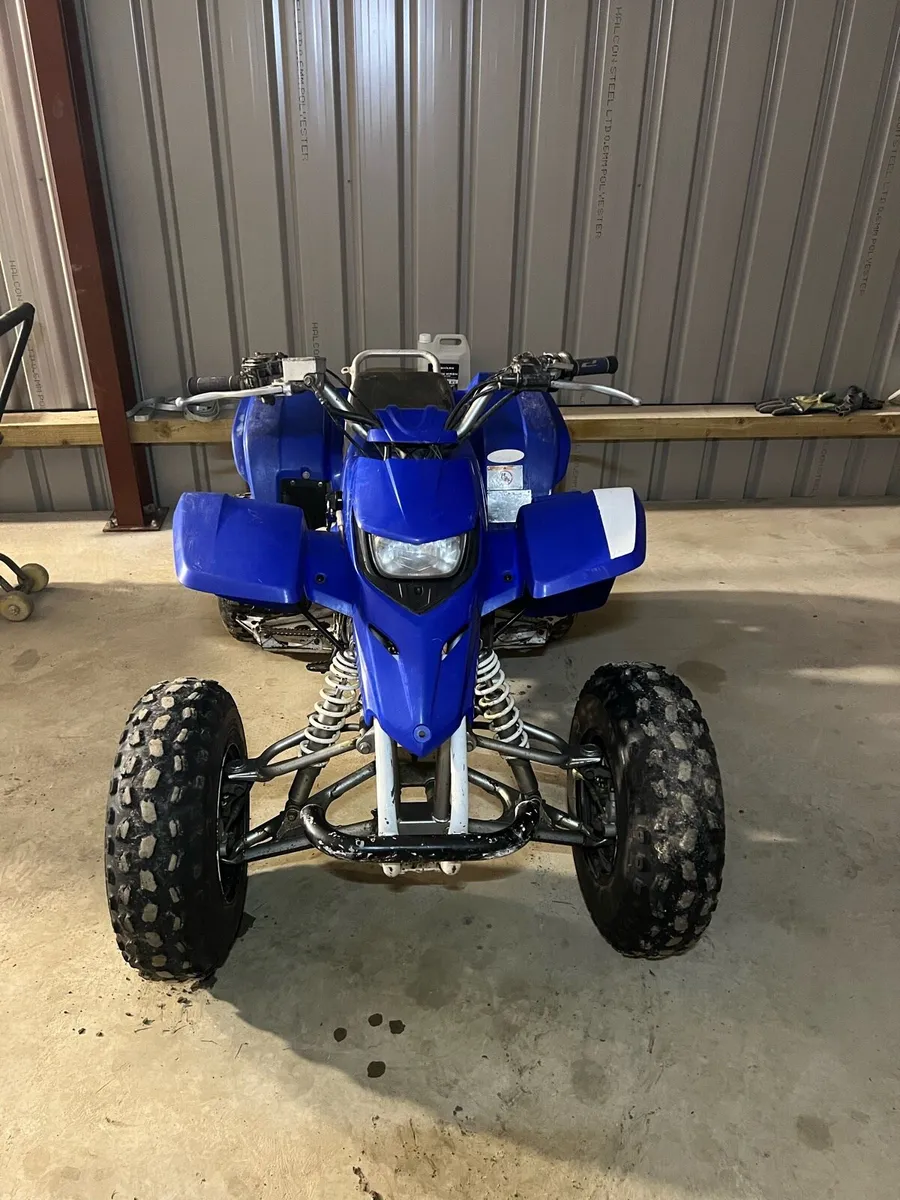 Yamaha Blaster - Image 1