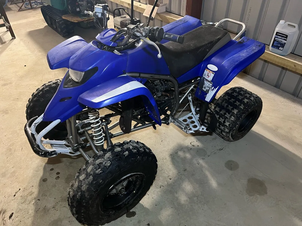 Yamaha Blaster - Image 3