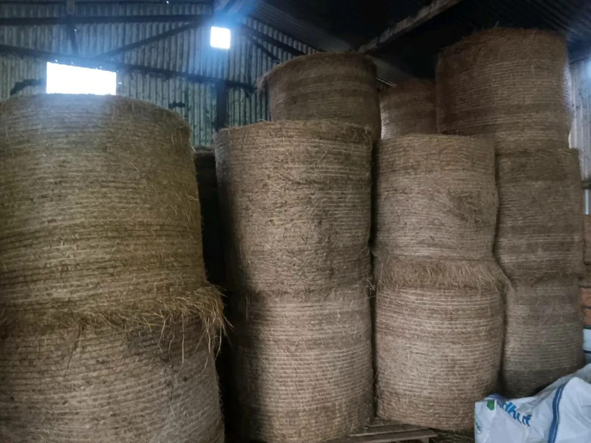Hay and silage - Image 1