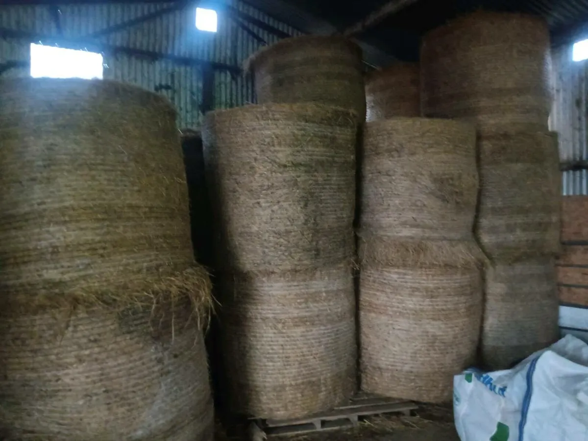 Hay and silage - Image 2