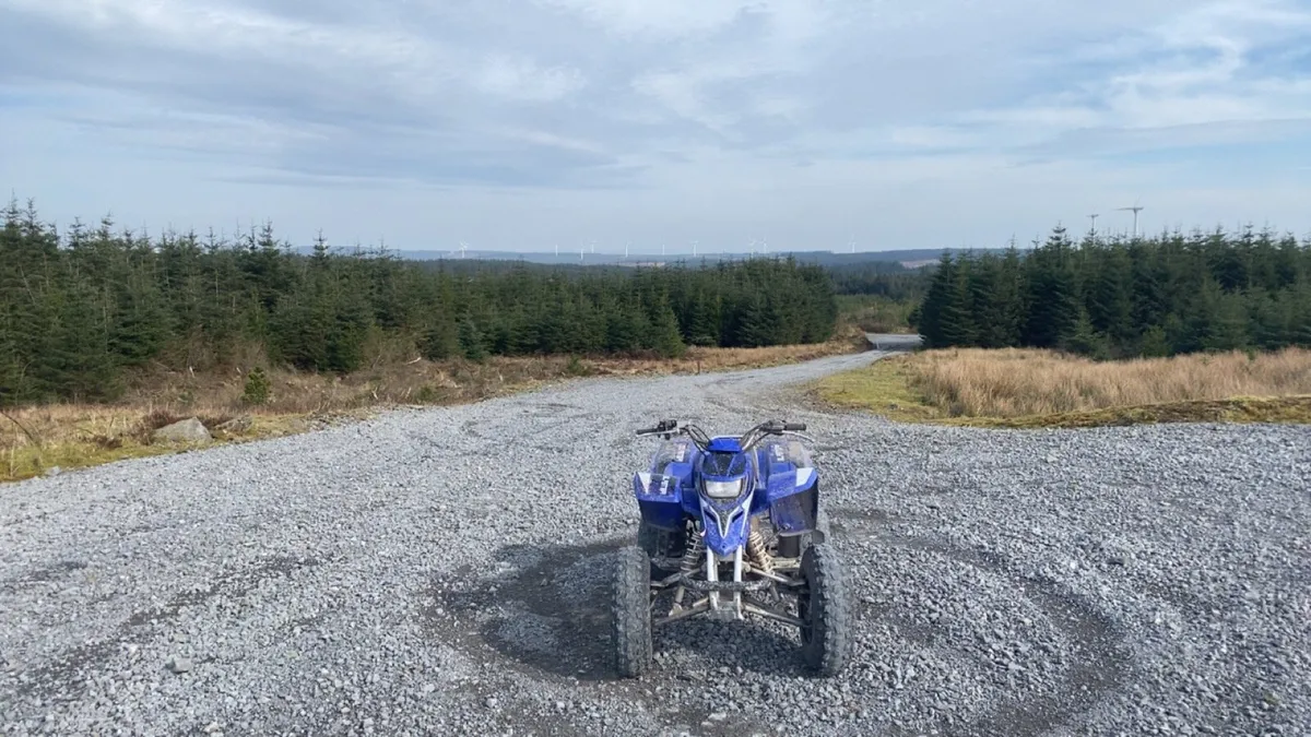 Yamaha Blaster - Image 4