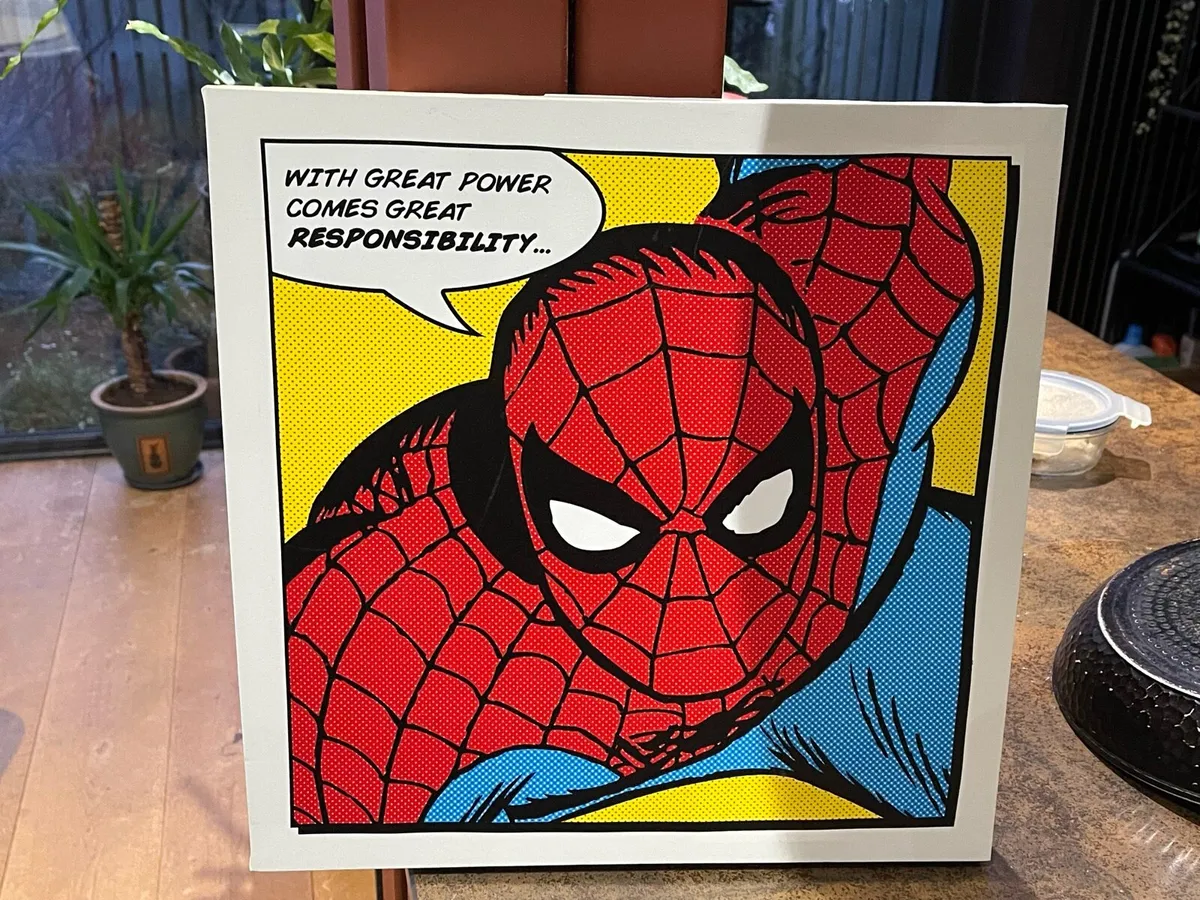 Spiderman canvas
