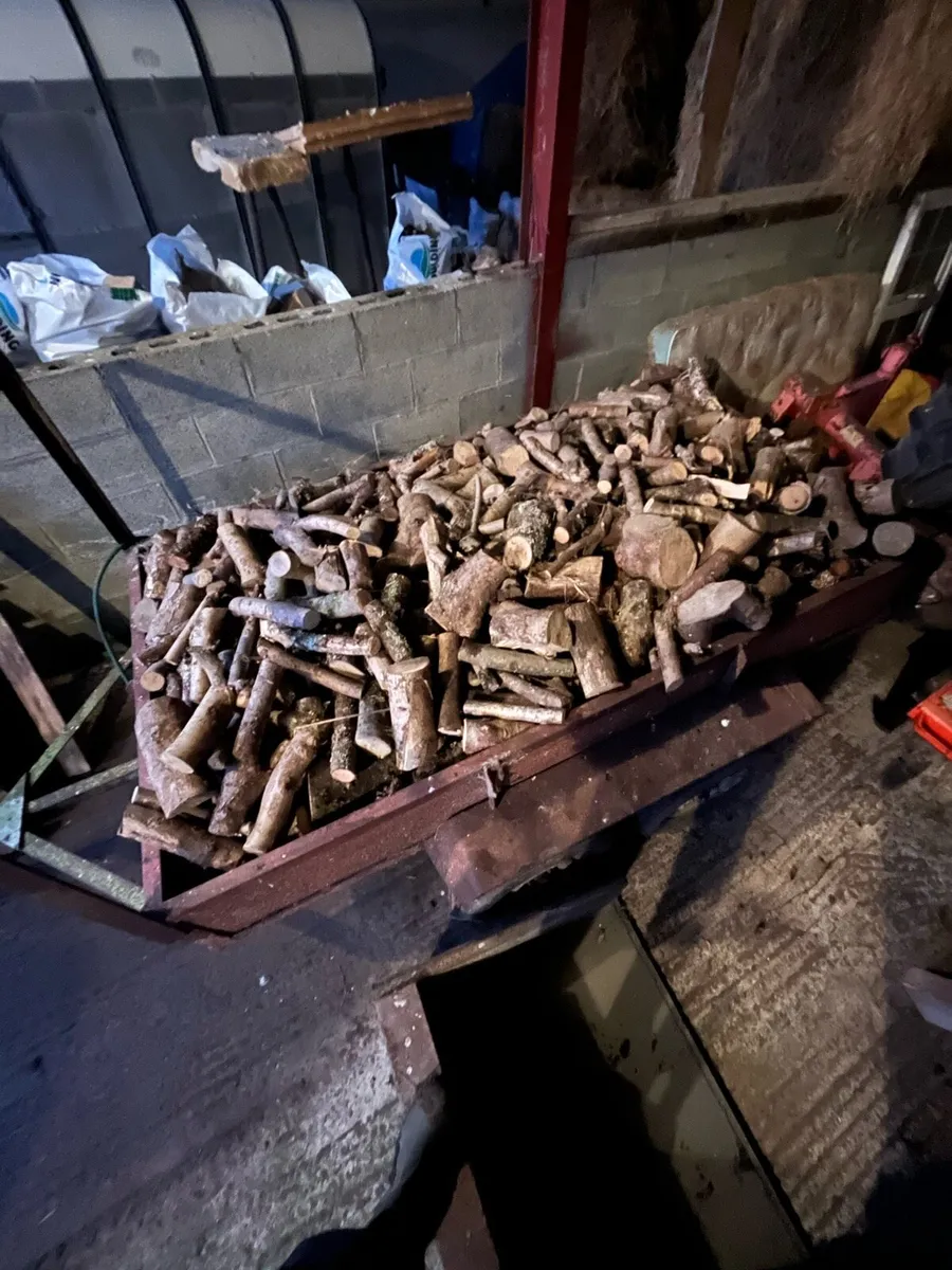 Ash Timber for Sale - Image 1