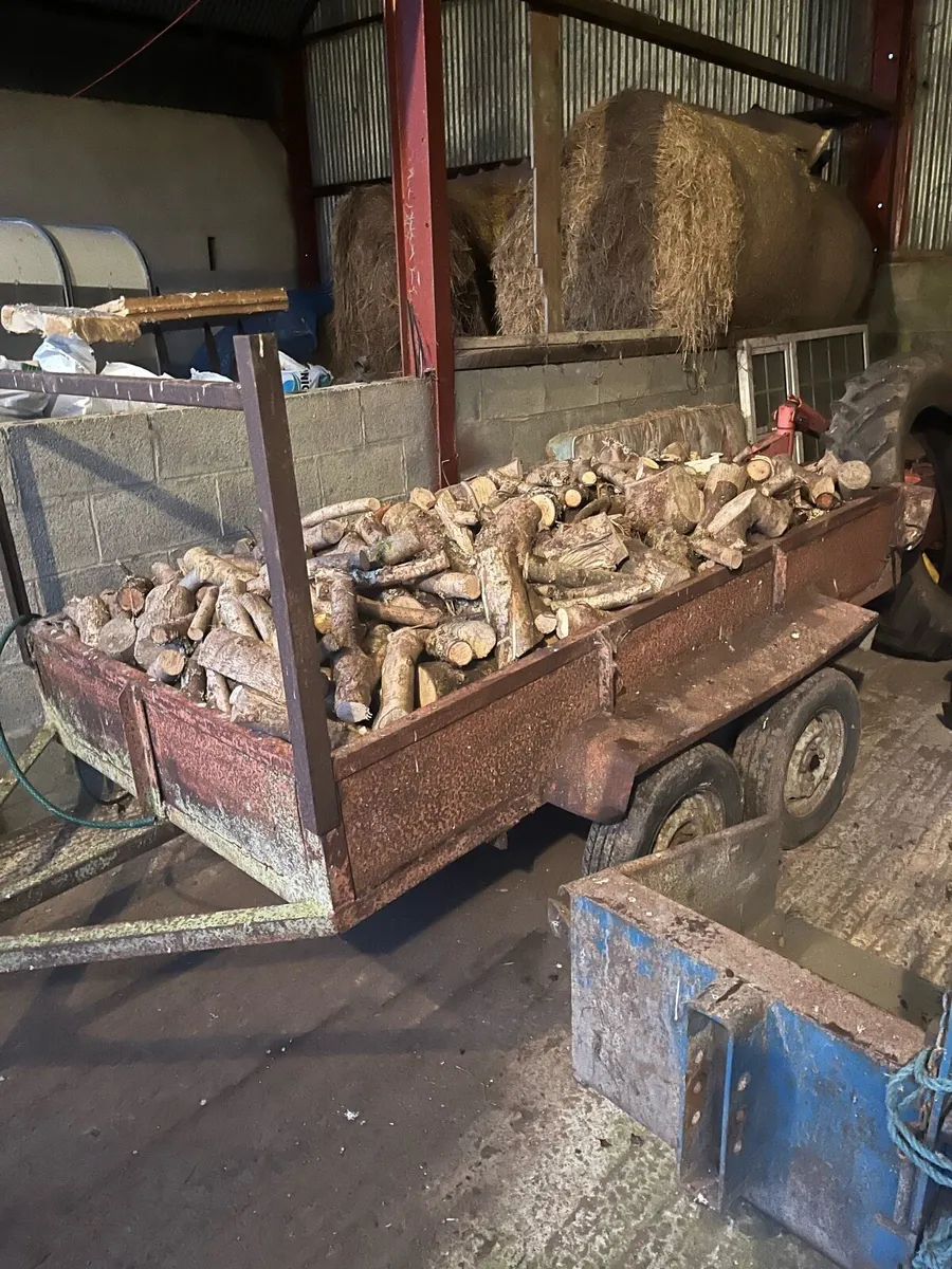 Ash Timber for Sale - Image 3