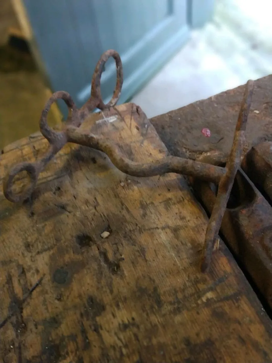 Antique wrought iron horse bit - Image 2