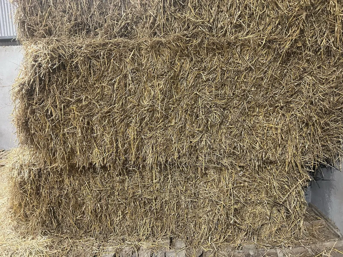 wheaten straw