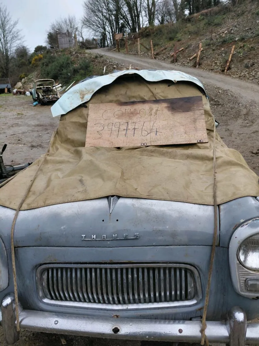 Yard clears - Image 2