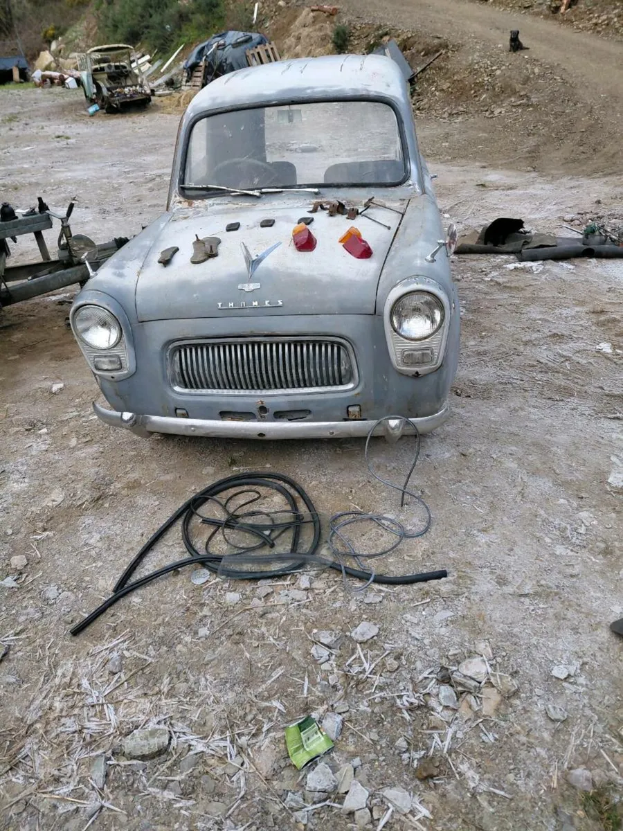 Yard clears - Image 3