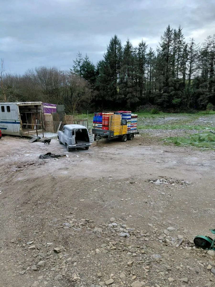 Yard clears - Image 4