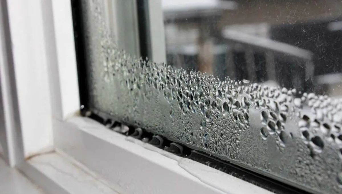 STOP MOLD & CRYING WINDOWS - Image 3
