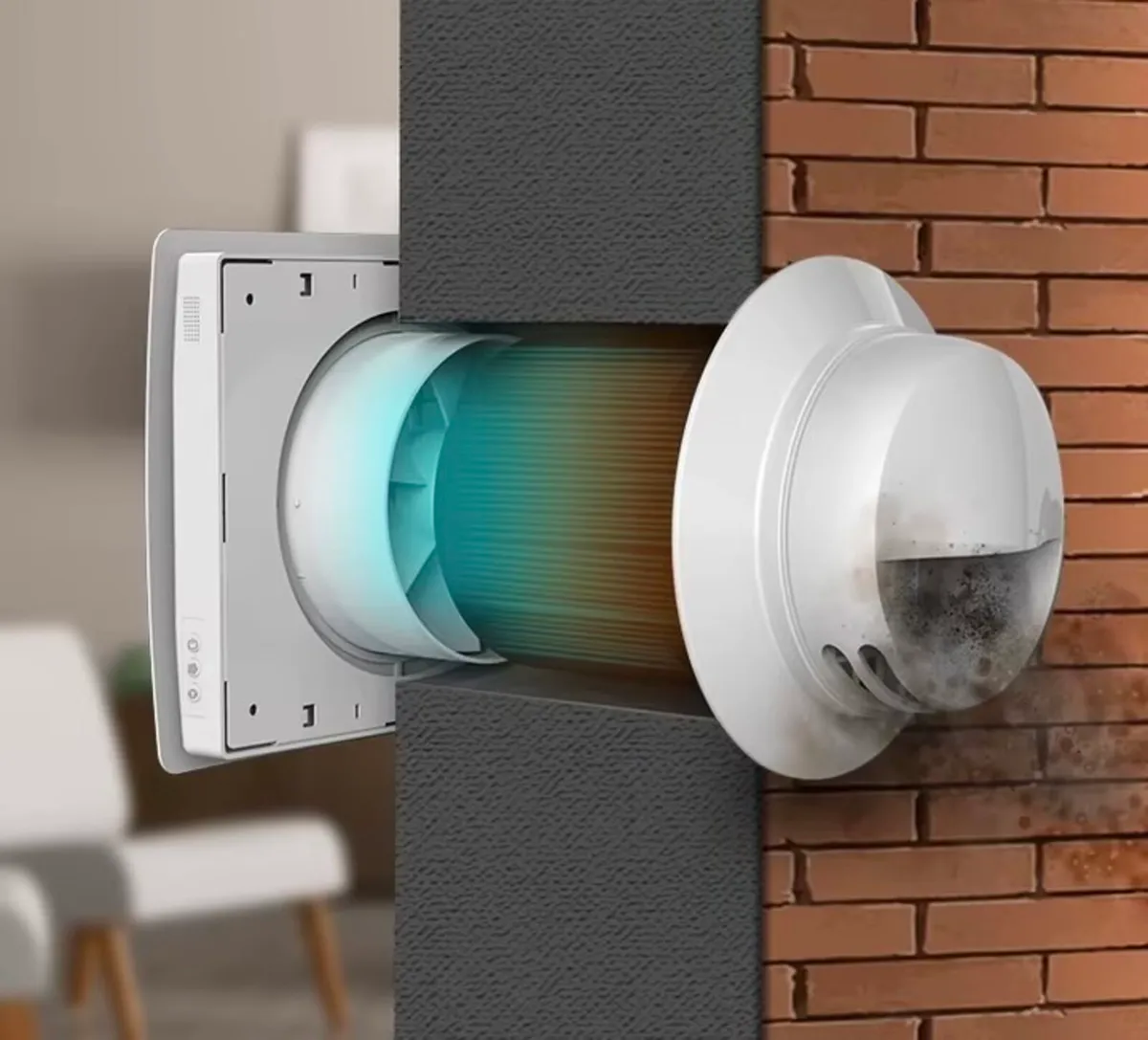 STOP MOLD & CRYING WINDOWS - Image 1