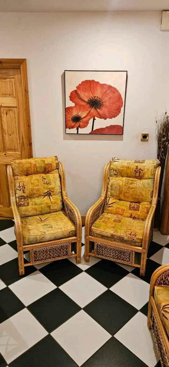 Wicker Chairs for Sun lounge - Image 1