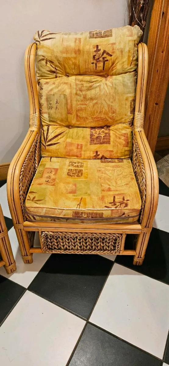 Wicker Chairs for Sun lounge - Image 4