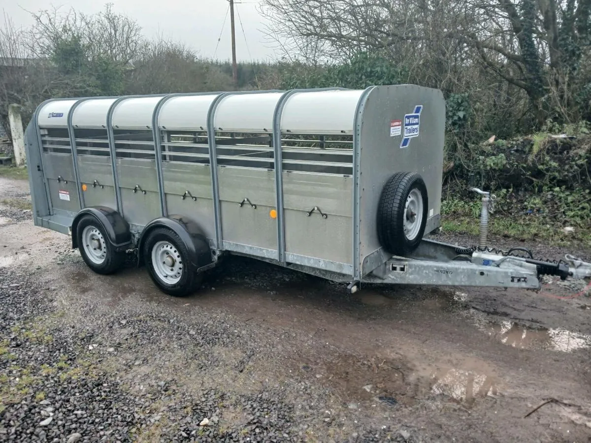 Ifor williams Sheep trailer - Image 1