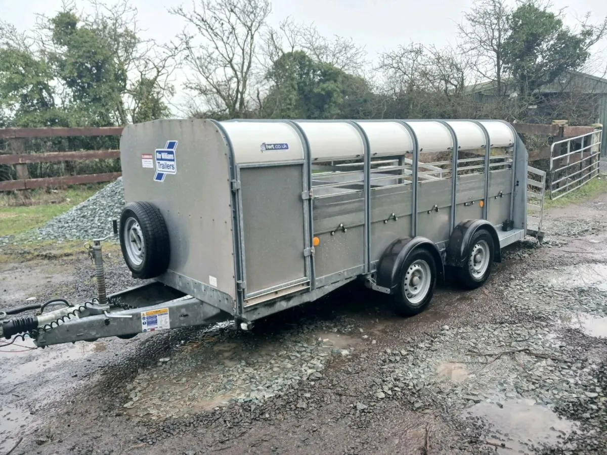 Ifor williams Sheep trailer - Image 2