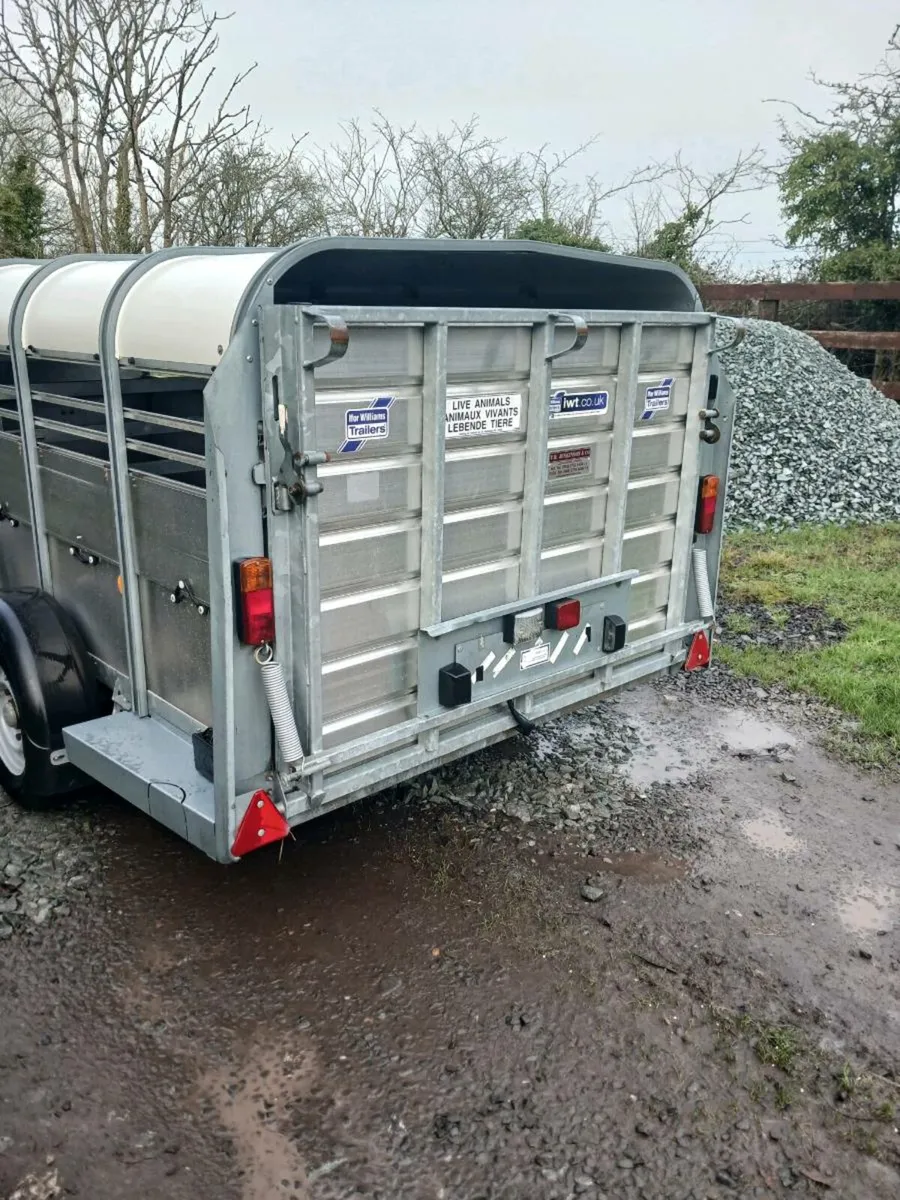 Ifor williams Sheep trailer - Image 3