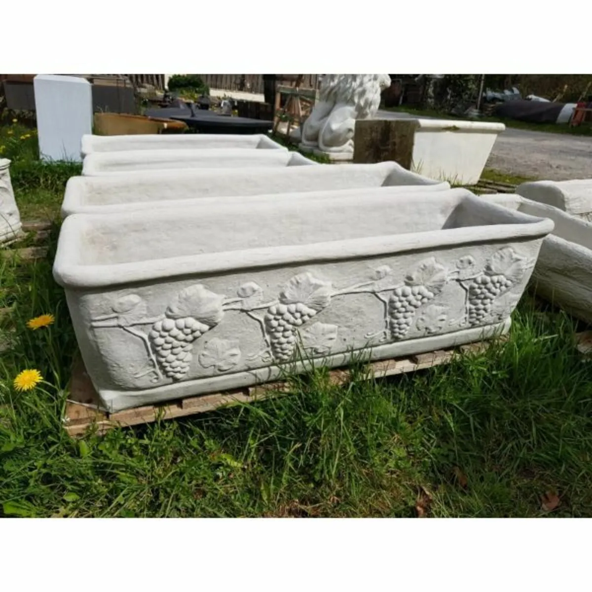 Planter – Grape Lg-GL-PL101