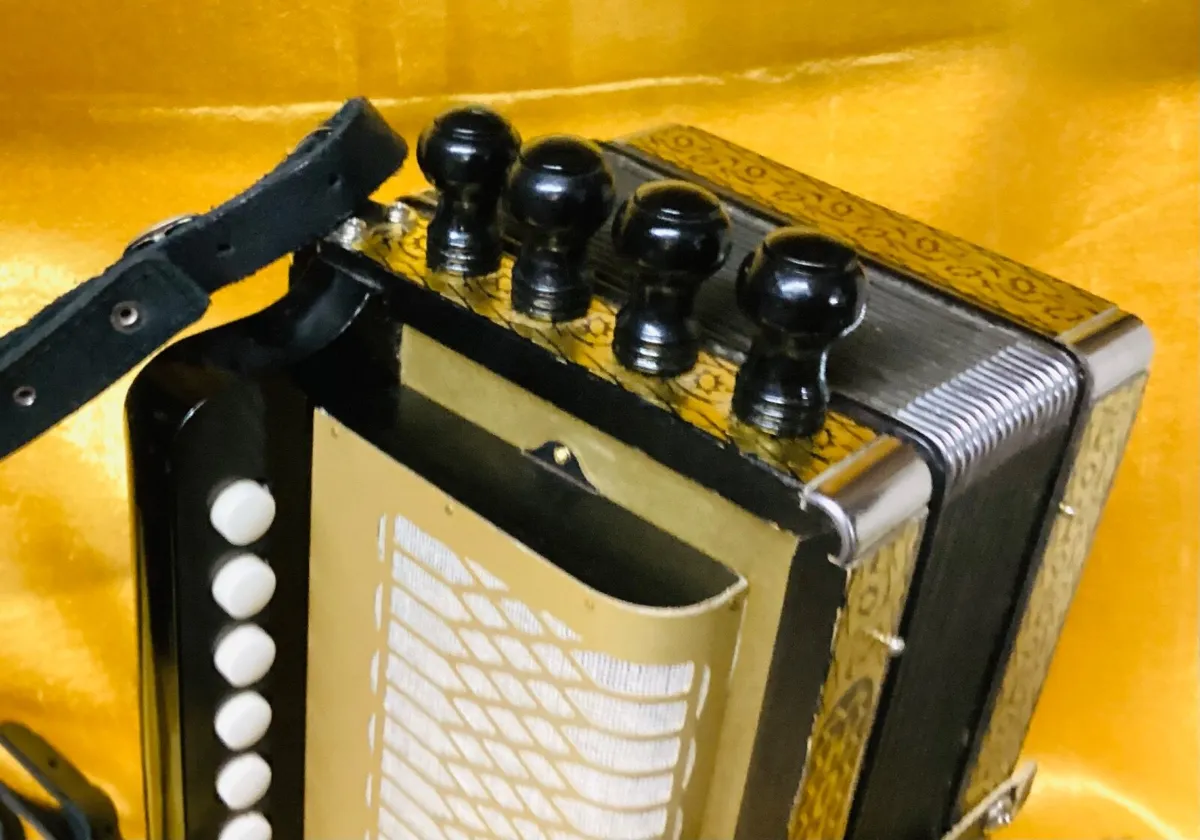 Single Row Melodions Accordions Tuning C G and D - Image 2