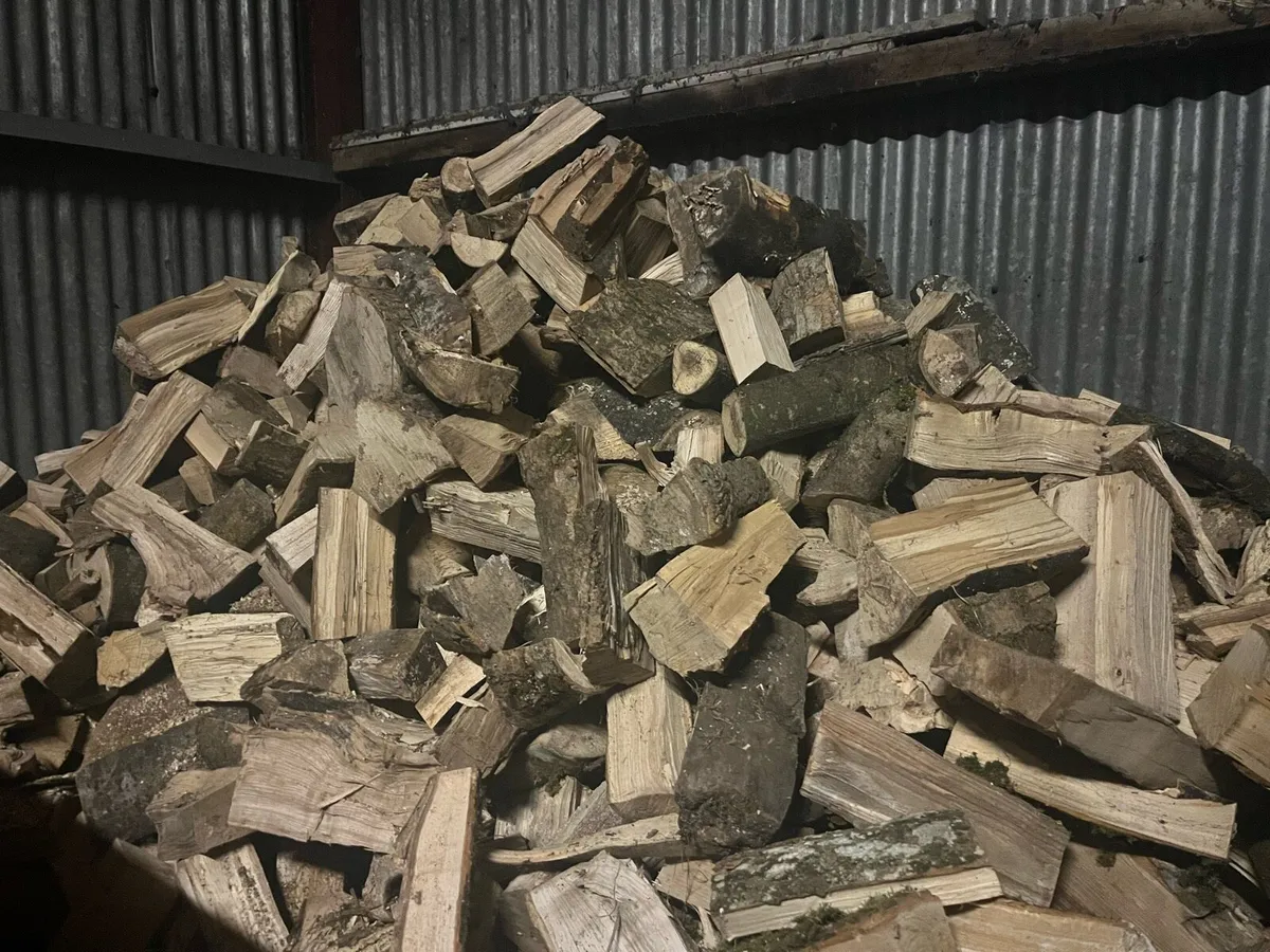 Firewood - Image 2